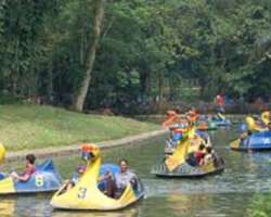 As the zoo is located close to Ragunan lake, you can enjoy boat rides on the lake and events like pony cart on Sundays As the zoo is located close to Ragunan lake, you can enjoy boat rides on the lake and events like pony cart on Sundays.